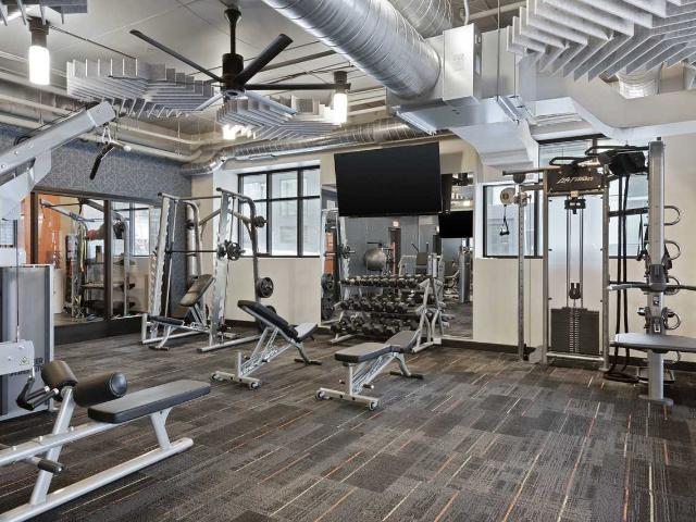 Apartment for rent in Near North, Minneapolis