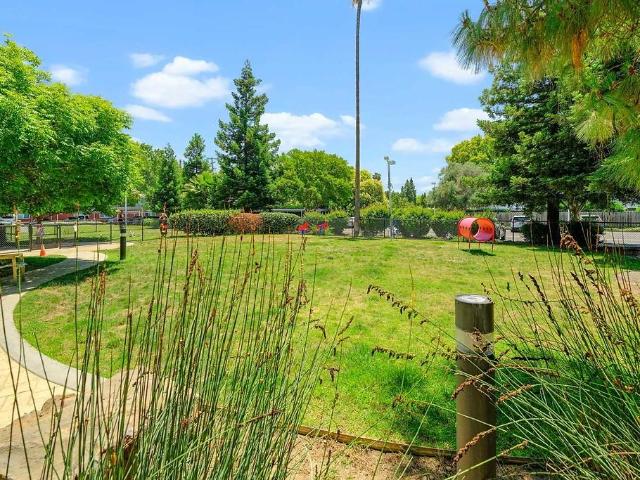 Apartment for rent in Campbell, California