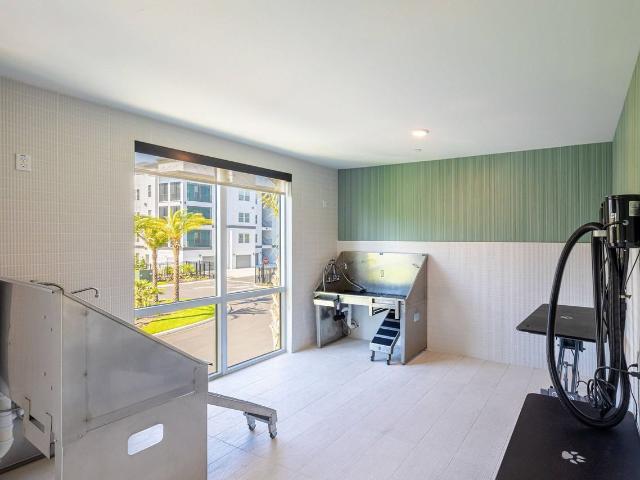 Apartment for rent in Riverview, Florida