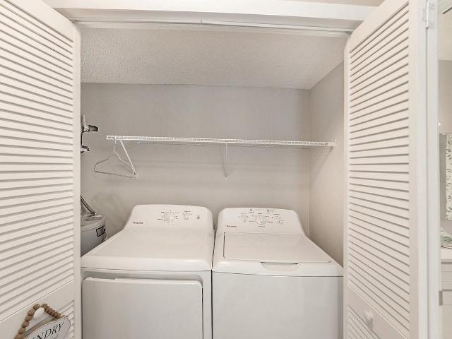 Apartment for rent in Tampa, Florida