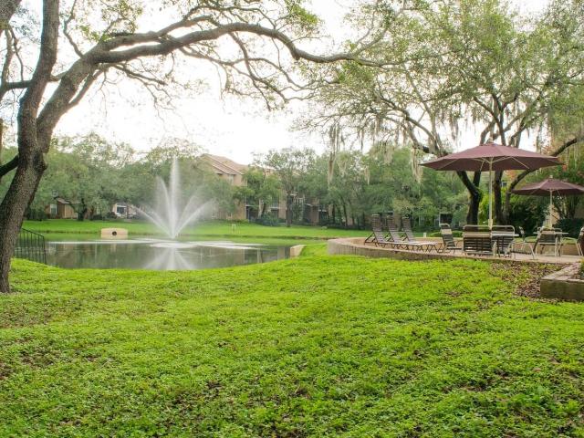 Apartment for rent in Tampa, Hillsborough County