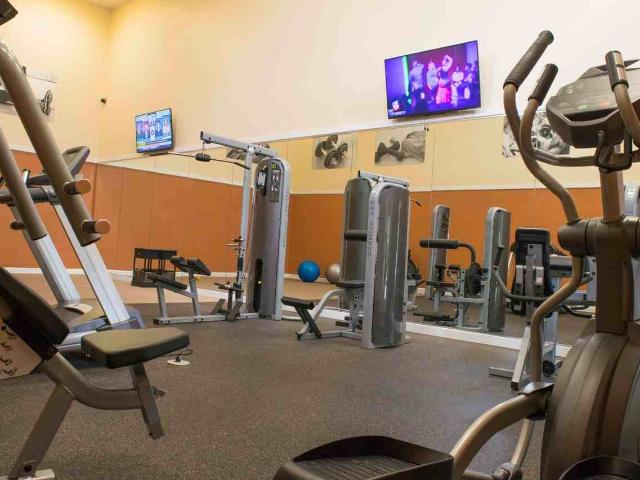 Apartment for rent in Tampa, Florida