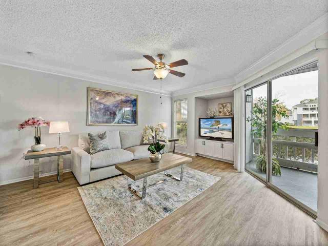 Apartment for rent in Brandon, Florida