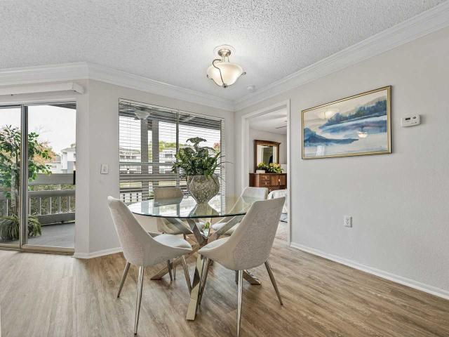 Apartment for rent in Brandon, Florida