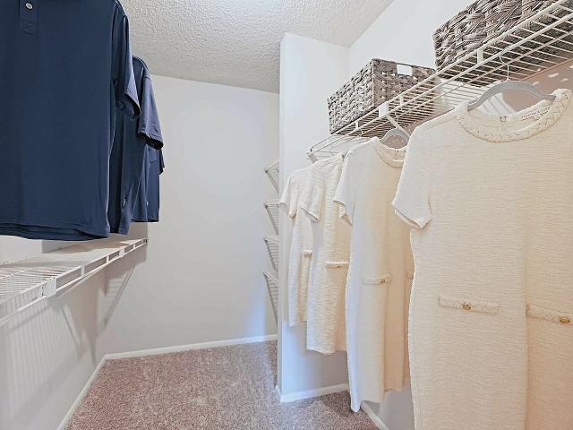 Apartment for rent in Jacksonville, Florida