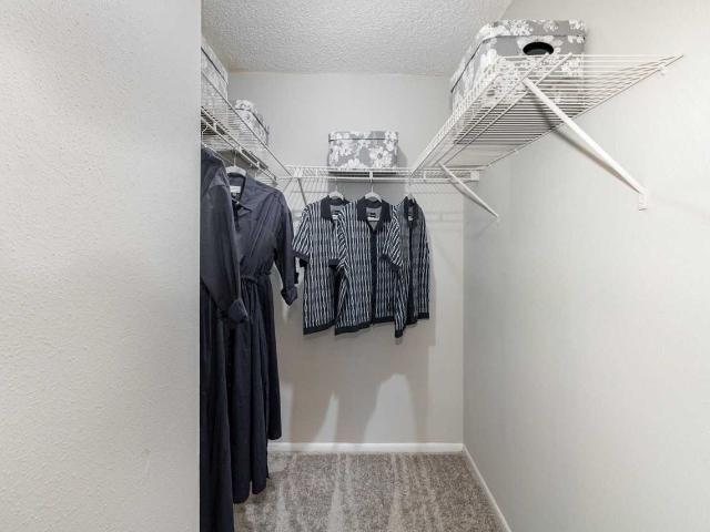 Apartment for rent in Jacksonville, Florida