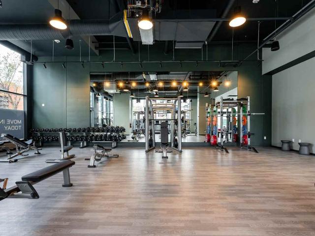 Apartment for rent in Wedgewood, Alberta