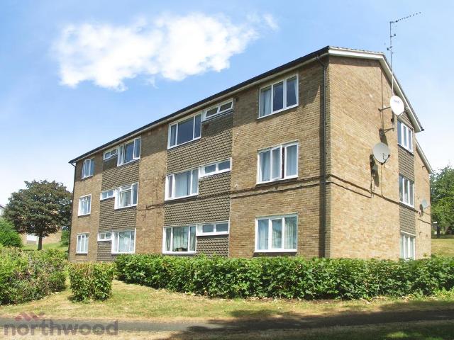 Apartment for rent in Disraeli, High Wycombe
