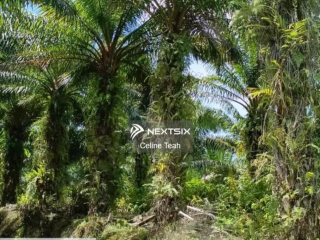 Residential House for sale in Kinabalu, Sabah