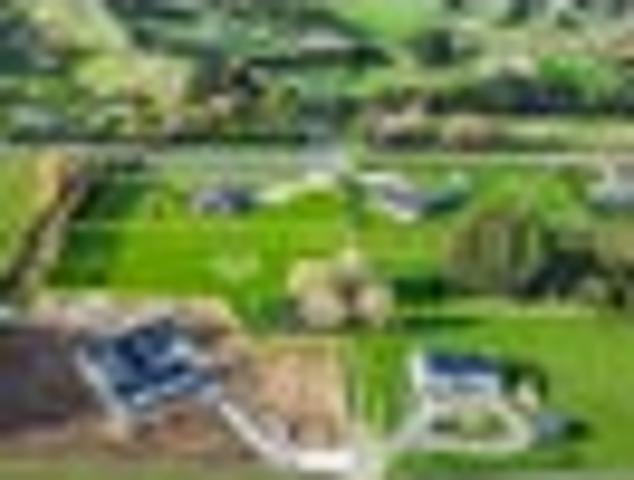 Land for sale in Halcombe