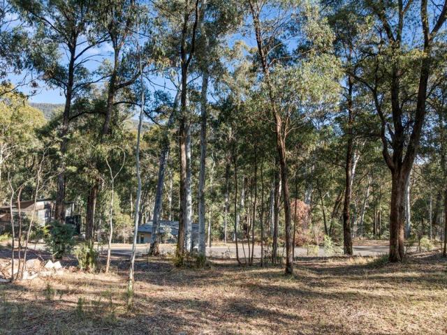 Land for sale in Sawmill Settlement