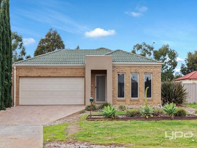 House for rent in Camerons Creek, Victoria