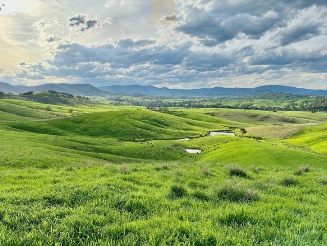 Property for sale in Gloucester, New South Wales