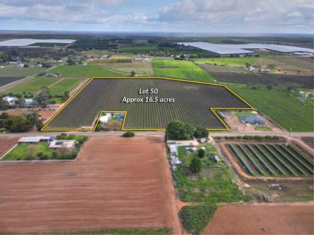 Land for sale in Renmark West, South Australia