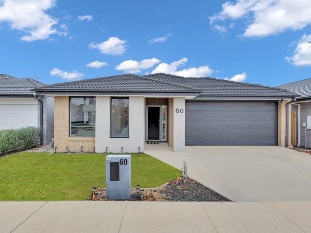 House for rent in Coridale, Lara