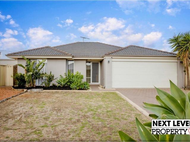 House for rent in Butler, Western Australia