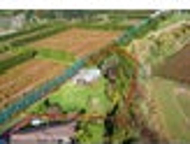 House for sale in Te Ranga, Bay Of Plenty