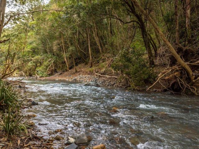 Cottage for sale in Wherrol Flat, New South Wales
