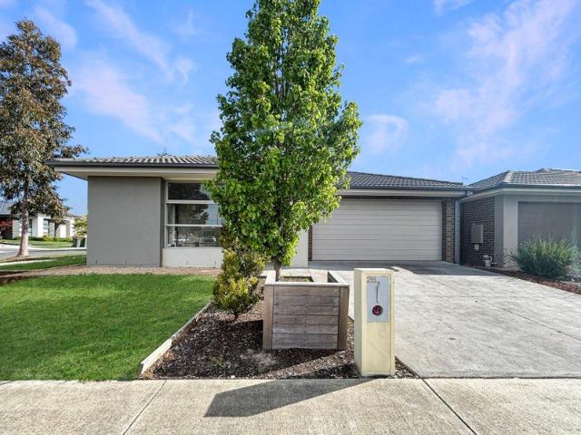House for rent in Geelong, Victoria