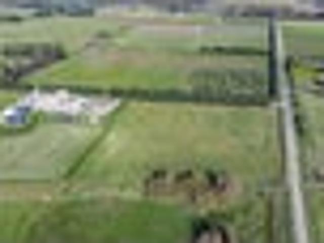Land for sale in Hurunui District, Canterbury