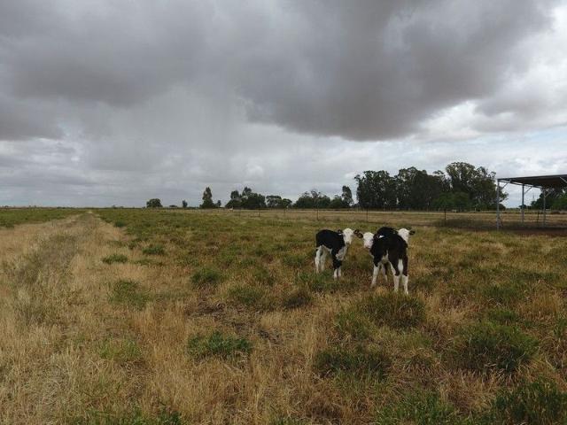 Acreage for sale in Koondrook, Victoria