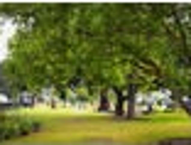 Land for sale in Woodend, Canterbury