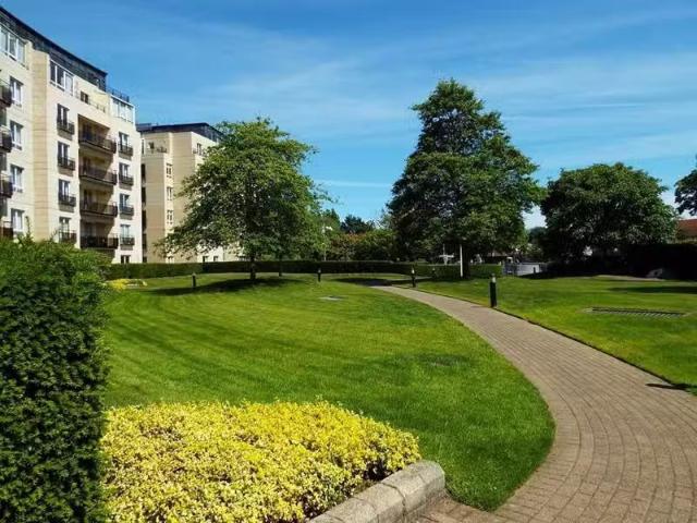 Apartment to rent