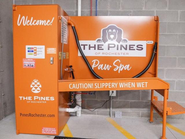 House for rent in Rochester, Minnesota