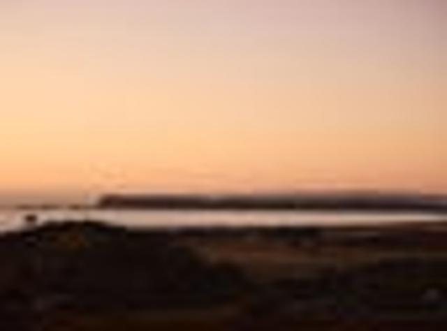 Land for sale in Napier