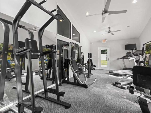 Apartment for rent in Tampa, Florida