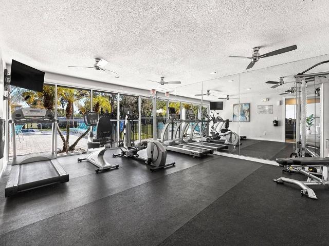 Apartment for rent in Clearwater, Florida