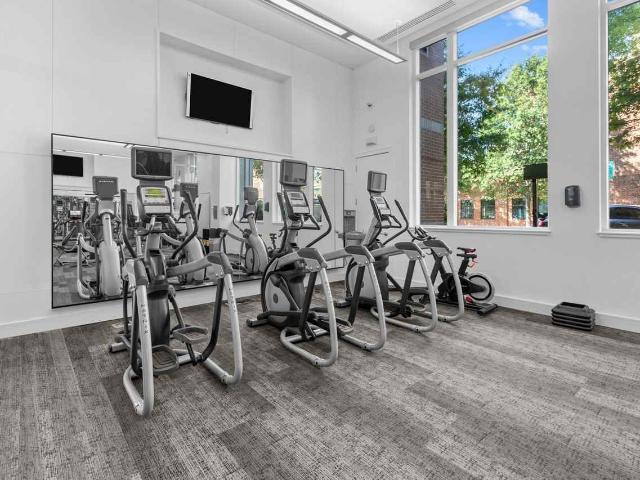 Apartment for rent in Baltimore, Maryland