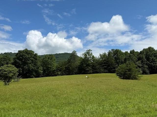 Land for sale in Young Harris, Georgia