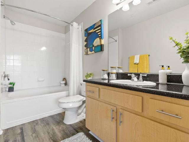 Apartment for rent in Tampa, Florida