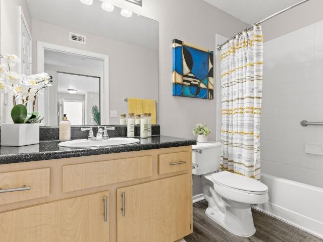 Apartment for rent in Tampa, Hillsborough County