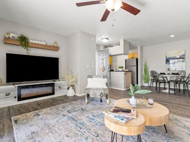 Apartment for rent in Tampa, Florida