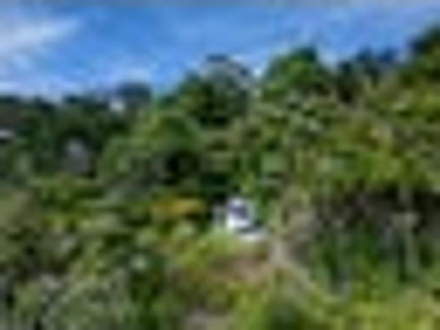 Land for sale in Kawau Island