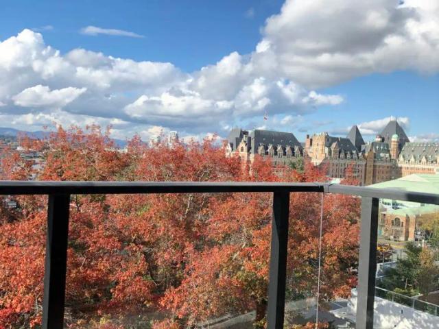 Apartment for rent in Victoria, British Columbia
