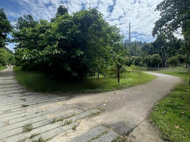 Condominium for sale in Upper Bukit Timah