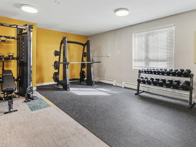 Apartment for rent in Arapahoe, Colorado