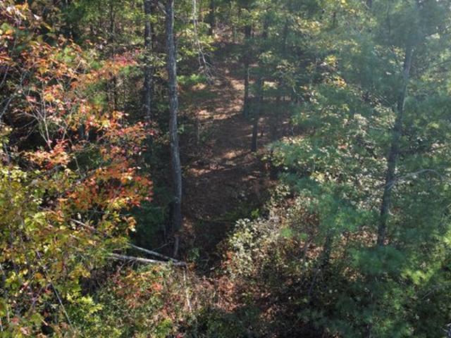 Land for sale in Zoe, Kentucky