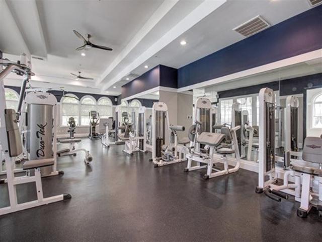 Apartment for rent in Pikesville