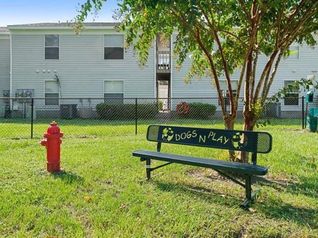 Apartment for rent in Georgia