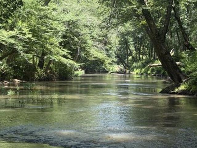 Land for sale in Berry, Alabama