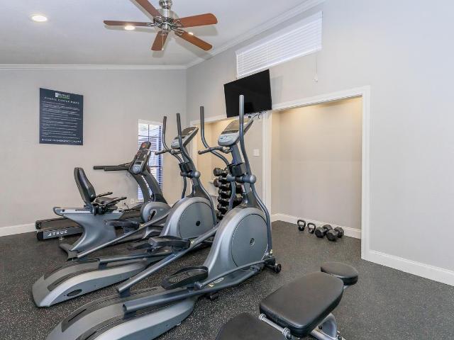 Apartment for rent in San Angelo, Tom Green County