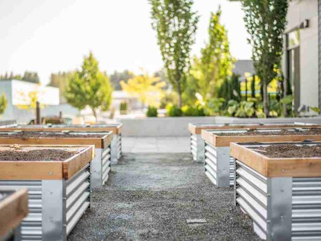 Apartment for rent in Abbotsford, British Columbia