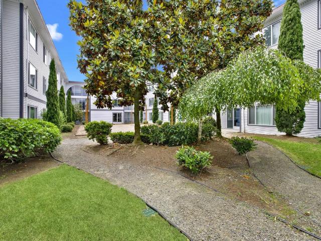 Apartment for rent in Bellevue, Washington