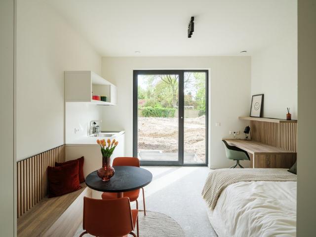 Kot location à Desteldonk, Oost-Vlaanderen