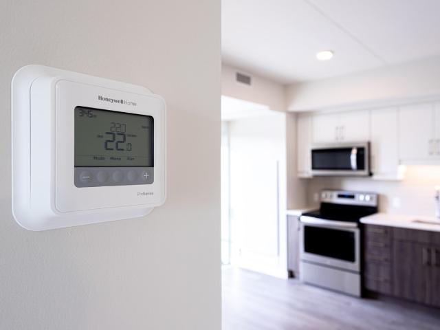 Apartment for rent in City Commercial Core, Kitchener