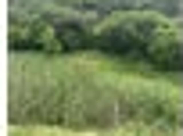 Land for sale in Kakaramea, Taranaki